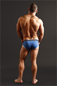 Nasty Pig Systematic Brief Nasty Pig Systematic Brief