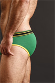 Nasty Pig Systematic Brief Nasty Pig Systematic Brief