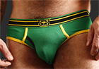 Nasty Pig Systematic Brief