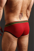 Nasty Pig Systematic Brief Nasty Pig Systematic Brief