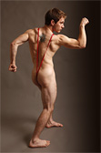 Joe Snyder Body Joe Snyder Body