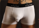 Activeman Liberty Modal Trunk Detail 1