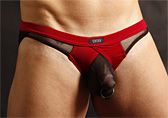 Gregg Homme X-Rated Maximizer Jock