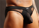 Gregg Homme X-Rated Maximizer Jock