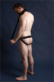 Freedom Reigns Show It Off Jock Freedom Reigns Show It Off Jock