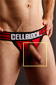 CellBlock 13