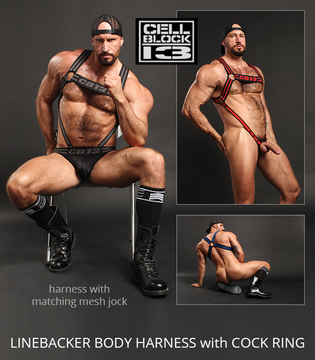 Cellblock 13 Linebacker Harness with Cock Ring and Jockstrap