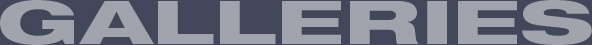 Gallery Title
