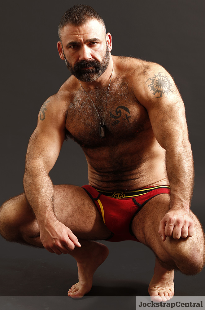 Muscle Bears, Gay Old Daddy Bear, Muscle Daddy