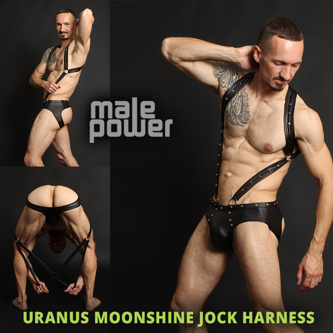 Male Power Moonshine Jockstrap Harness