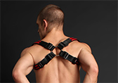 Breedwell Glow Shoulder Harness