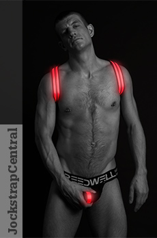 Breedwell Glow Shoulder Harness