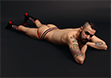 Nasty Pig