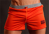 Jack Adams Air Mesh Gym Shorts