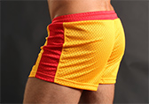 Jack Adams Air Mesh Gym Shorts