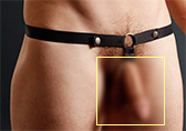 Male Power Rip Off Harness Set with Cock Ring