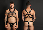 Male Power Gemini Reversible Harness