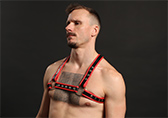 Male Power Leather Leo Harness