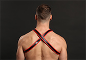 Male Power Leather Leo Harness