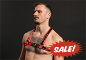 Male Power Leather Leo Harness