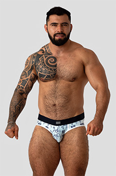 Bruto Kuma Bear Brief