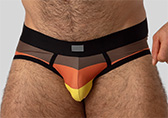 Bruto Bear Flag Brief