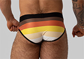 Bruto Bear Flag Brief