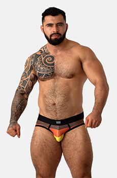 Bruto Bear Flag Brief