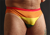 Bruto Pride Flag Swim Brief