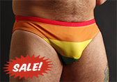 Bruto Pride Flag Swim Brief