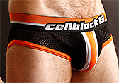 CellBlock 13 Enforcer Brief