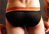 CellBlock 13 Enforcer Brief