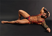 CellBlock 13 Sonic Neoprene Harness