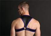 CellBlock 13 Apex Harness