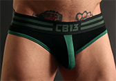 CellBlock 13 Torque Brief