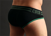 CellBlock 13 Torque Brief