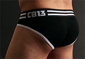 CellBlock 13 Torque Brief