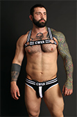 CellBlock 13 Torque Brief