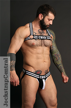 CellBlock 13 Torque Harness