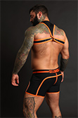 CellBlock 13 Sentinel Harness