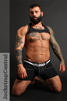 CellBlock 13 Sentinel Harness