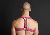 CellBlock 13 Kennel Club Scout Harness