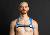 CellBlock 13 Kennel Club Scout Harness