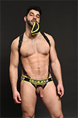 CellBlock 13 Stallion Neoprene Harness