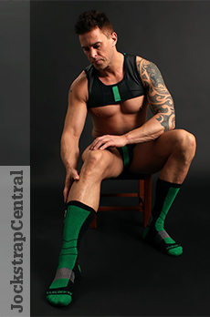 CellBlock 13 Vector Socks