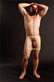 Sukrew