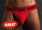 Alpha Charlie Basic Training Jockstrap