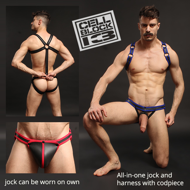The Ultimate: Cellblock 13 Frame Back Body Harness + Codpiece + Cockring -  Jockstrap Central