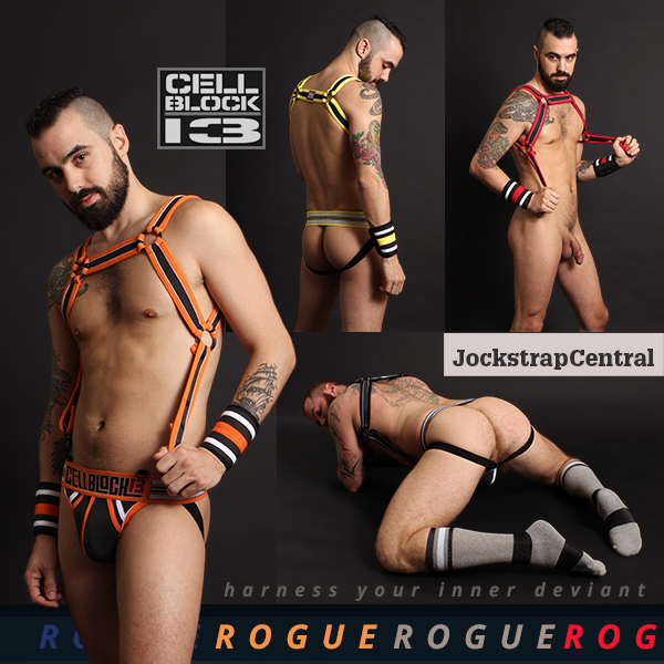 Cellblock 13 Rogue Jockstraps, Harnesses and Cuffs