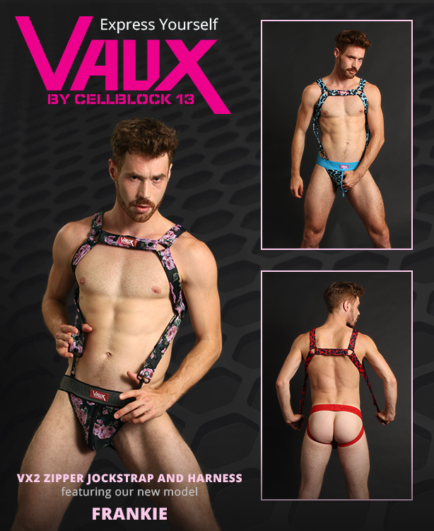 Vaux VX2 Zipper Jockstraps and Harnesses by Cellblock 13